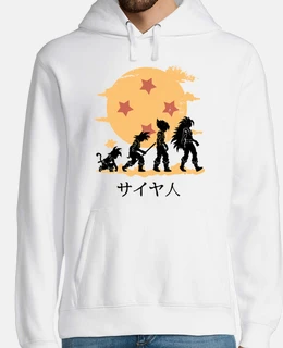 j&#39;ai grandi à la recherche du dragon ball