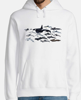 jersey orche, delfini e maschili blackfish
