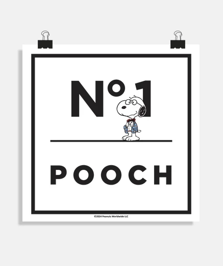Poster joe preppy n1 chien