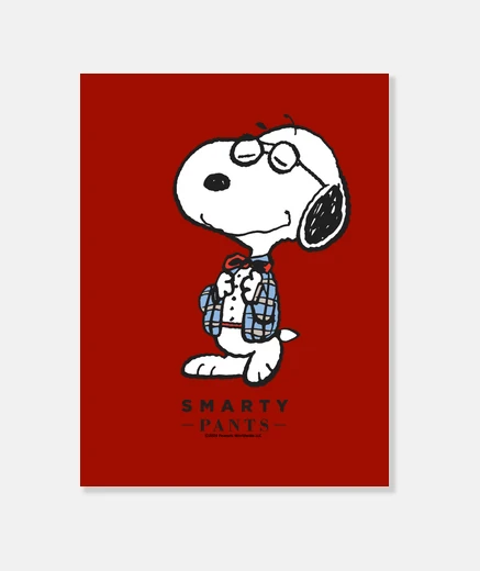 Stampa Joe Preppy Smarty Pants