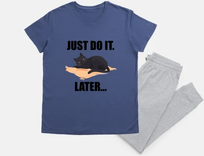 Just do it later Funny Cat