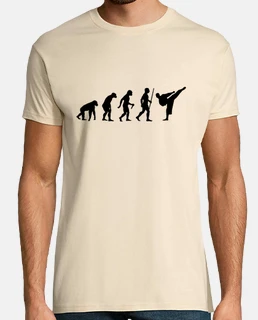 Karate evolution step