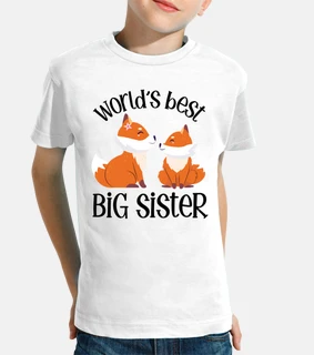 kawaii gift for worlds best big sister