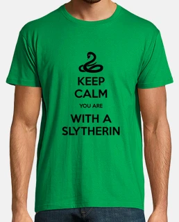 Keep Calm Slytherin chico