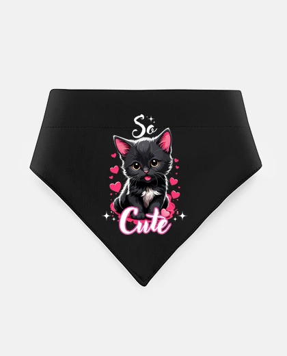 Mascotas kitty so cute
