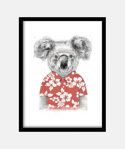 Quadro koala estivo