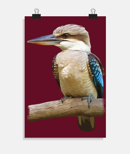 Poster kookaburra giant kingfisher laughing