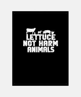 la lattuga non danneggia gli animali am