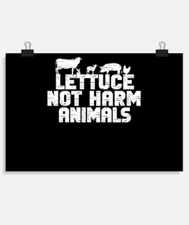 la lattuga non danneggia gli animali am