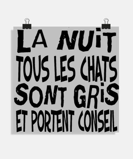 La nuit tous les chats sont gris et portent conseil