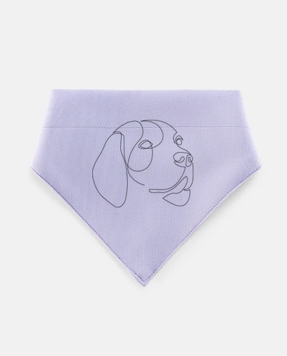 Mascotas Labrador