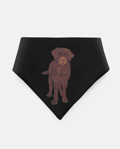 Mascotas Labrador Retriever