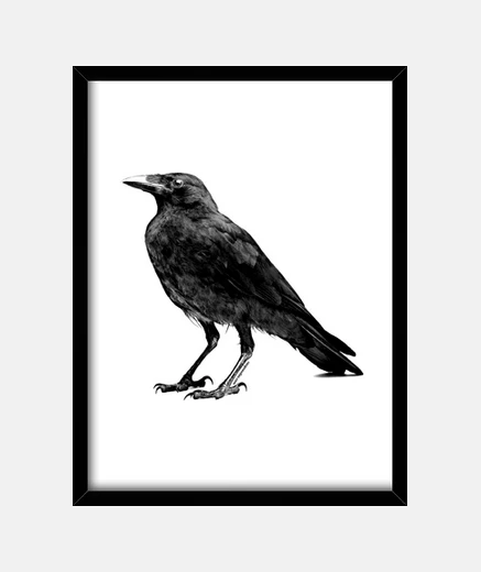 Cadre le corbeau