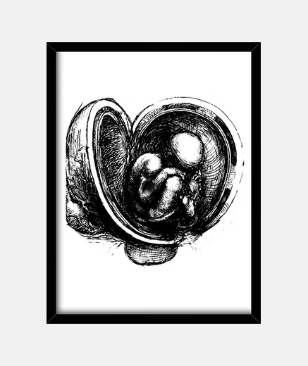 Framed leonardo da vinci 1