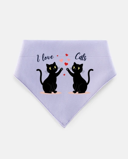 Mascotas les chats et l&#39;amour