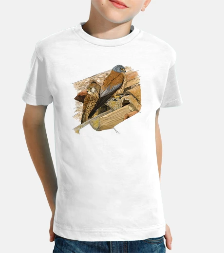 Children's lesser kestrel couple