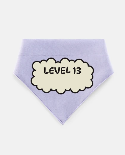 Mascotas level 13 level video games english
