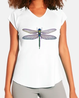 libellula