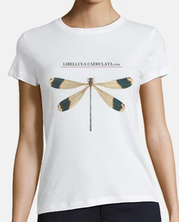 libellula. illustrazione originale di una donna del libro del 1789, manica corta, bianca, qualità pr