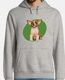 Little dog