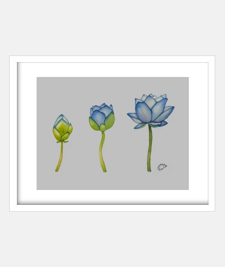 Cuadro Loto Azul fases Cuadro