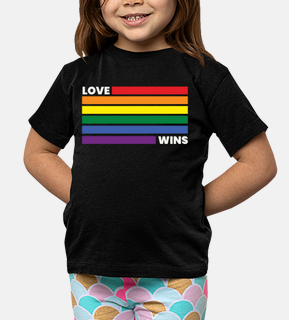Love Wins Rainbow Flag LGBT LGBTQ Pride