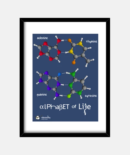 Framed ɑlpha&beta;et of life (dark backgrounds)
