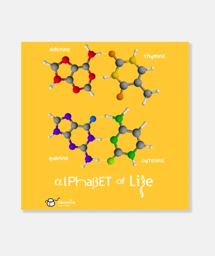 Lienzo ɑlPhaβET of Life (fondos oscuros)