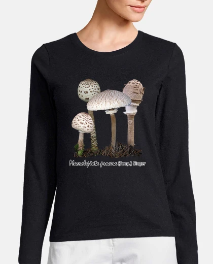M Macrolepiota procera