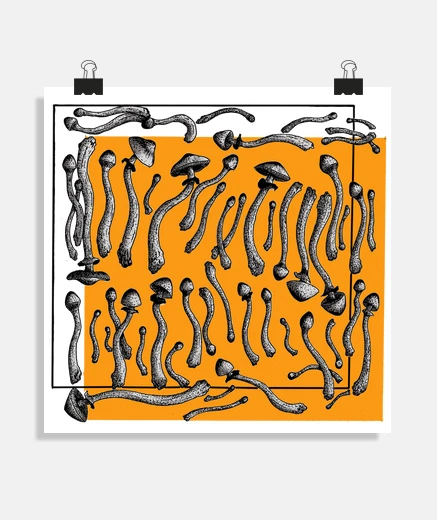 Poster magia le funghi