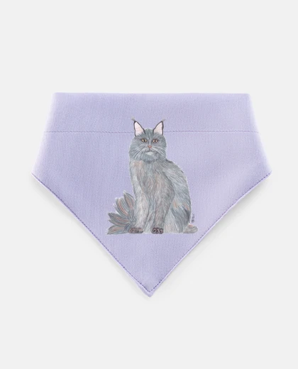 Mascotas Maine Coon