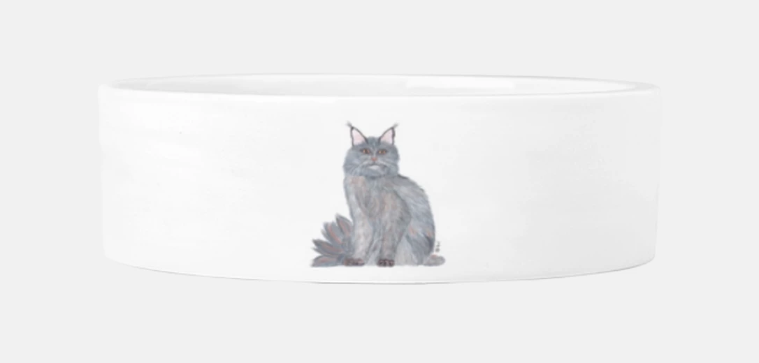 Mascotas maine coon