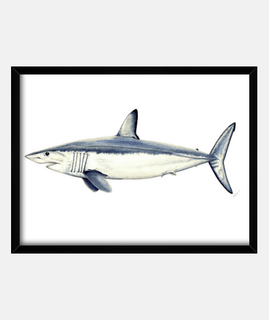 mako shark - frame with horizontal frame 4: 3 (40 x 30 cm)