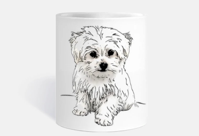 Cup maltese bichon