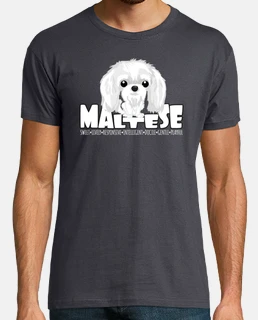 Maltese - DGBighead