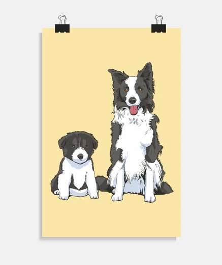 Poster mamma border collie e il suo bebè , così carini, troppo carini, per la decorazione,