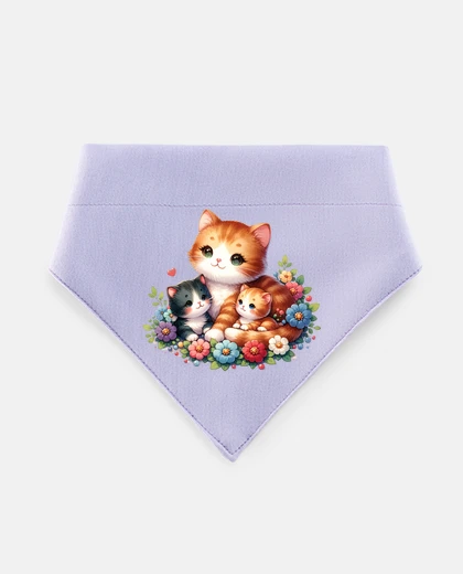 Mascotas mamma gatta con i suoi gattini rossi