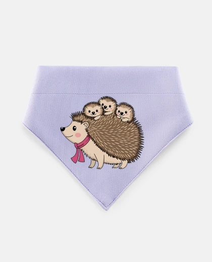 Mascotas mamma riccio e i suoi piccoli