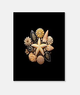 mandala concha estrella de mar temporad