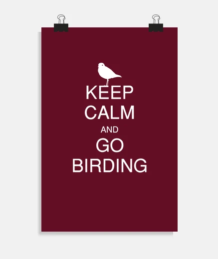 Poster mantieni la calma e vai a fare birdwatc