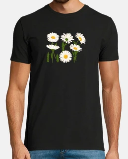 marguerites margarita margaritas de ver
