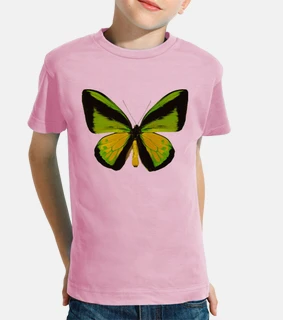 Mariposa Goliath