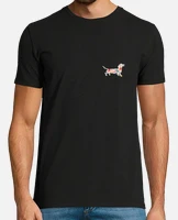 Dachshund, dachshund, sausage dog, stubborn, training