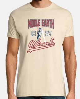 Middle Earth Wizards