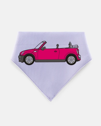 Mascotas mini cooper
