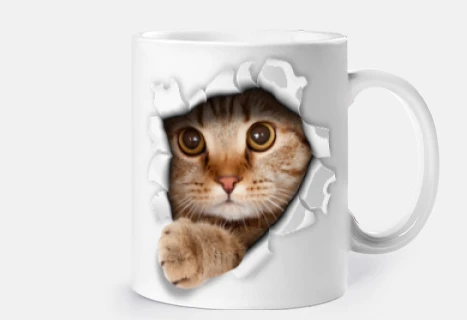 minou graci ours chat déchiré