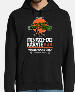miyagi-do karate