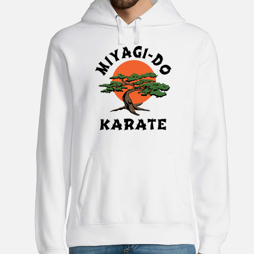 miyagi-do karate - the karate kid
