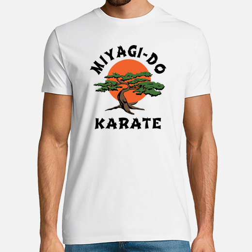 miyagi-do karate (karate kid)