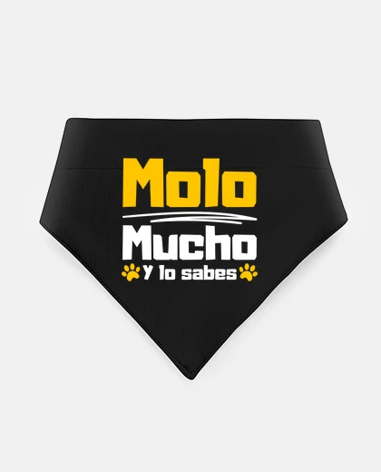 Mascotas Molo mucho mascotas